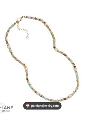 Park Lane Rosemary Necklace - New / Retired